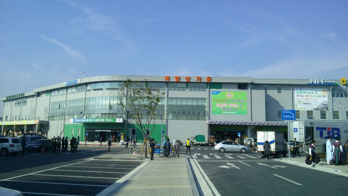 CAM03393.jpg